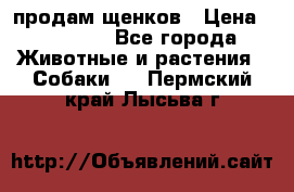 продам щенков › Цена ­ 15 000 - Все города Животные и растения » Собаки   . Пермский край,Лысьва г.